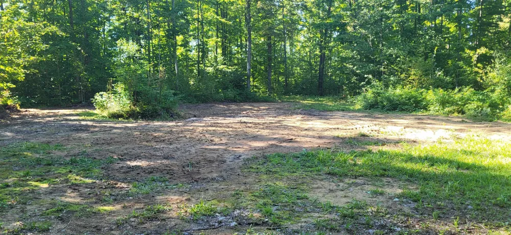 Bocook Road Mancelona Township, MI 49659