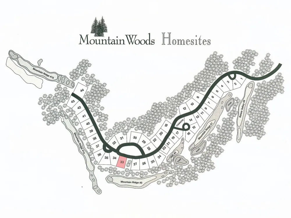 Mountainwoods Drive Weldon Township, MI 49683