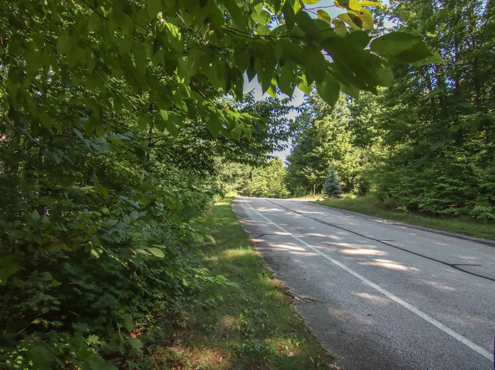 Mountainwoods Drive Weldon Township, MI 49683