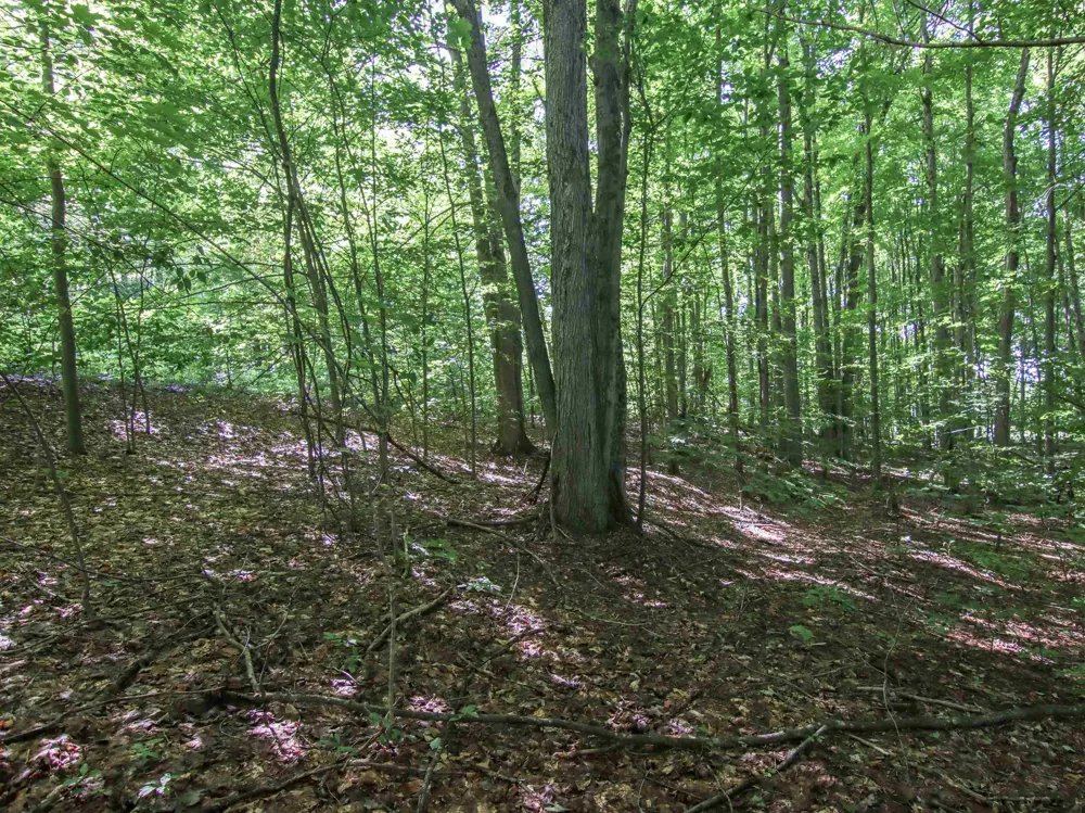 Mountainwoods Drive Weldon Township, MI 49683