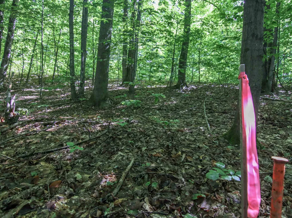 Mountainwoods Drive Weldon Township, MI 49683