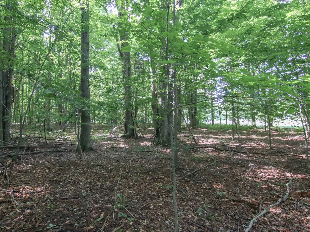 Mountainwoods Drive Weldon Township, MI 49683