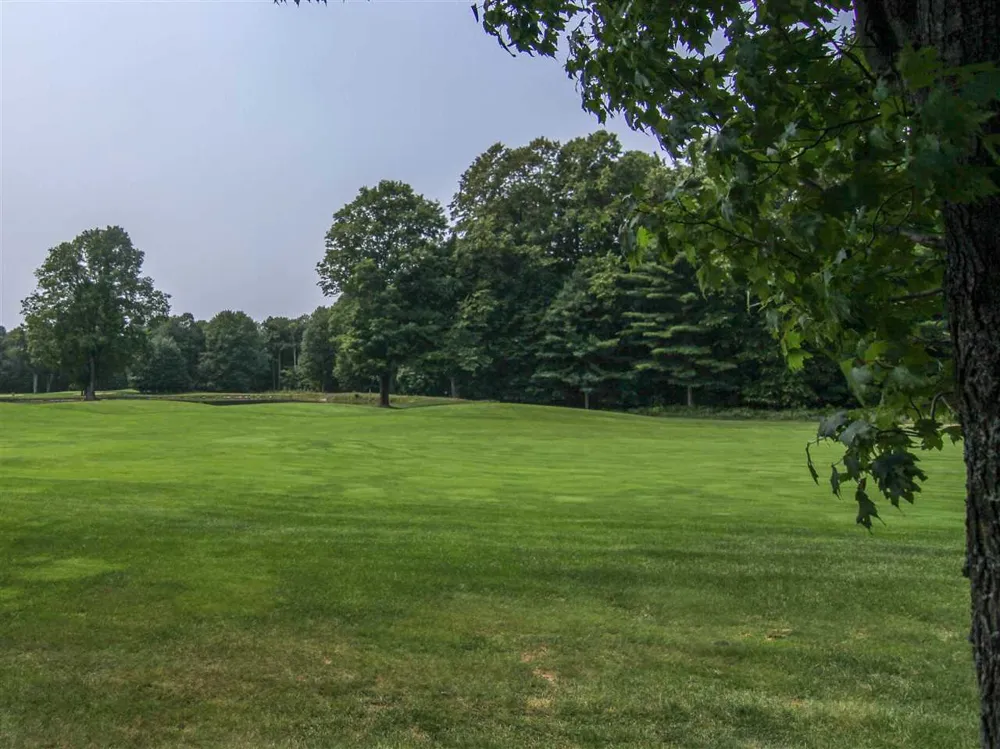 Mountainwoods Drive Weldon Township, MI 49683