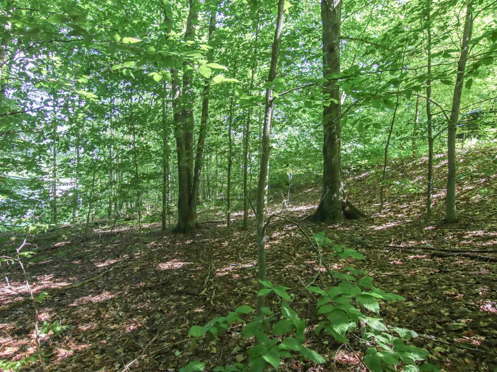 Mountainwoods Drive Weldon Township, MI 49683