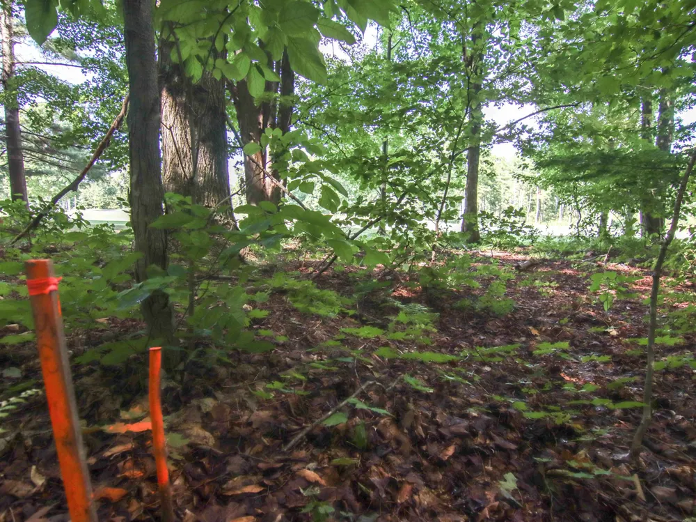 Mountainwoods Drive Weldon Township, MI 49683