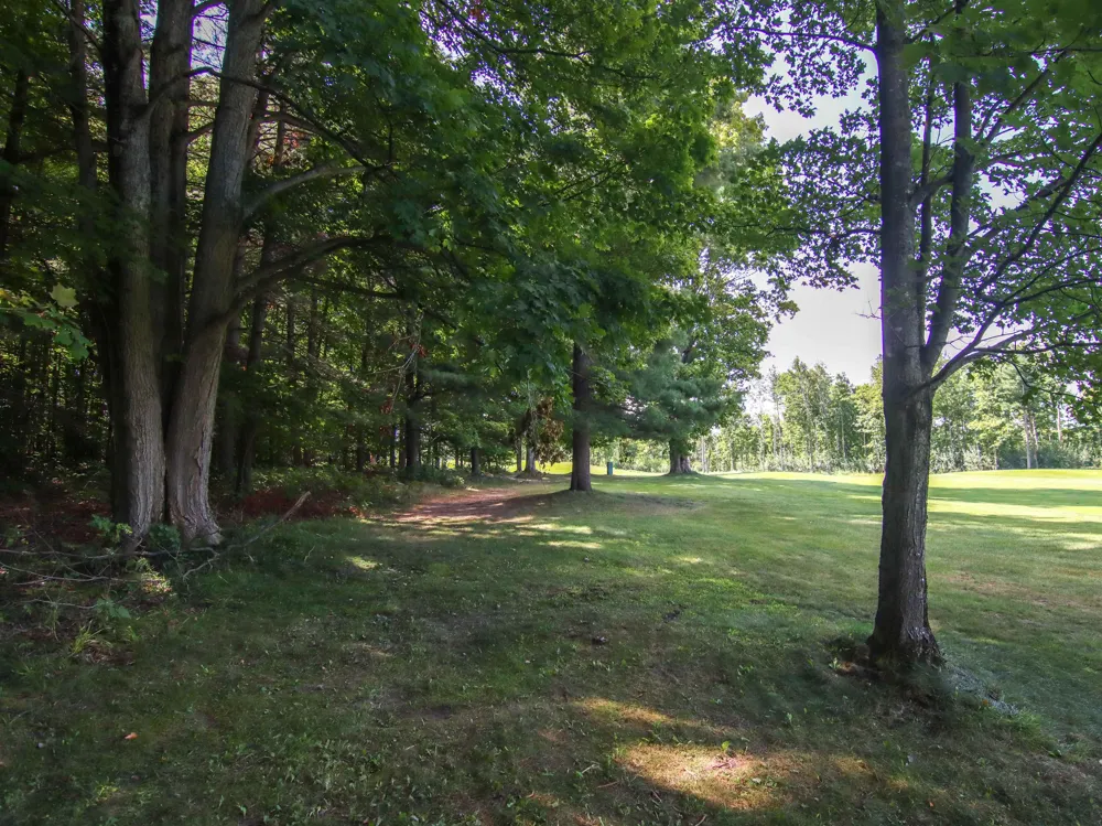 Mountainwoods Drive Weldon Township, MI 49683