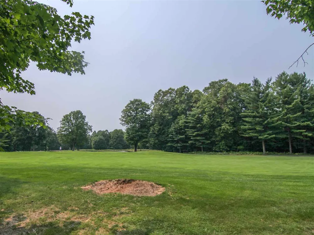 Mountainwoods Drive Weldon Township, MI 49683