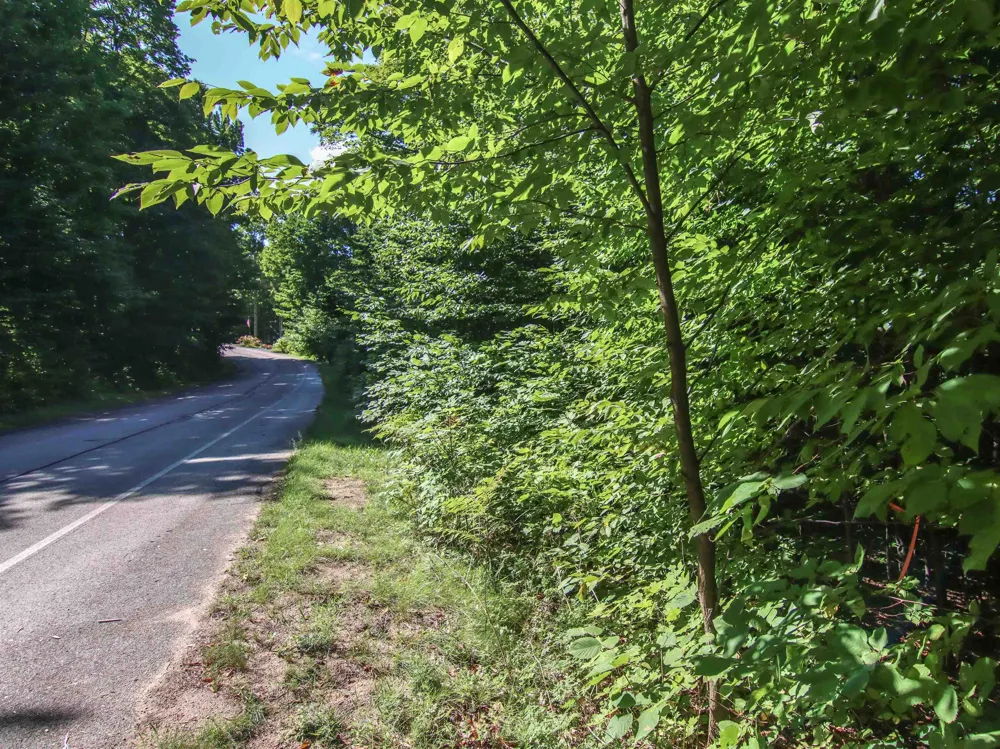 Mountainwoods Drive Weldon Township, MI 49683