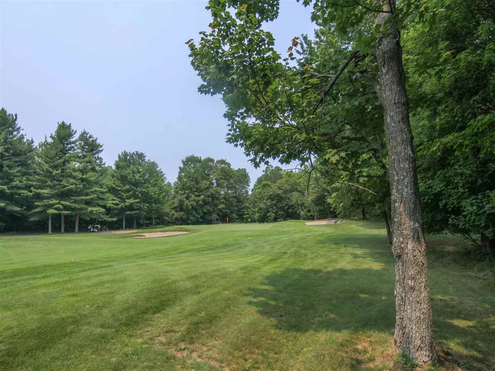 Mountainwoods Drive Weldon Township, MI 49683