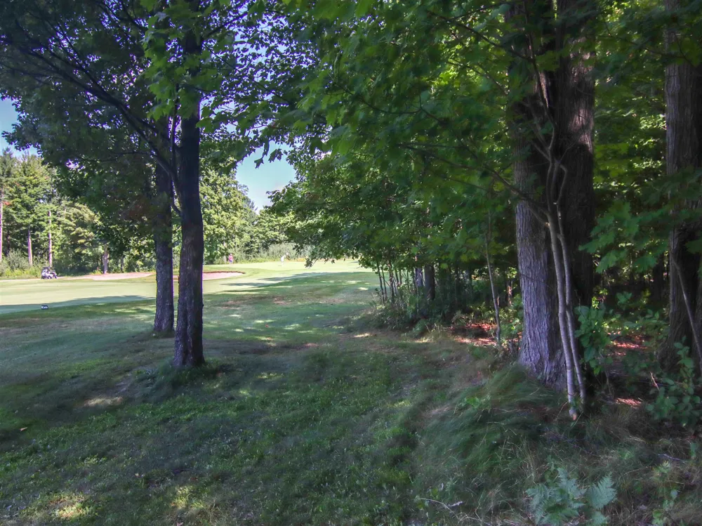 Mountainwoods Drive Weldon Township, MI 49683