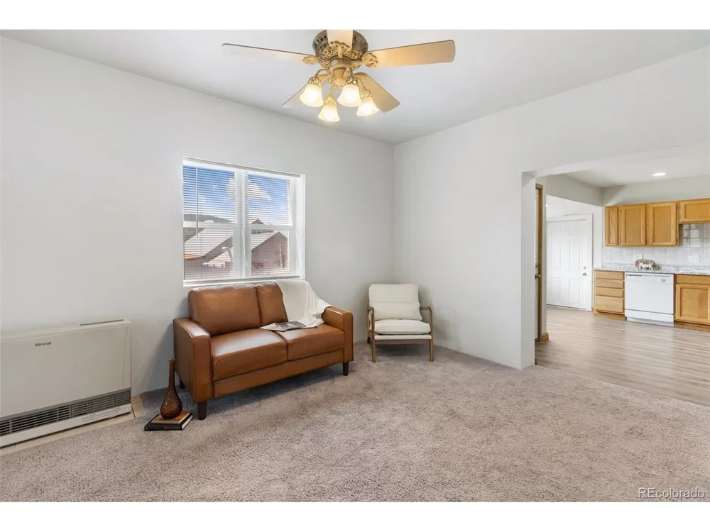 223 S Second Street Victor, CO 80860
