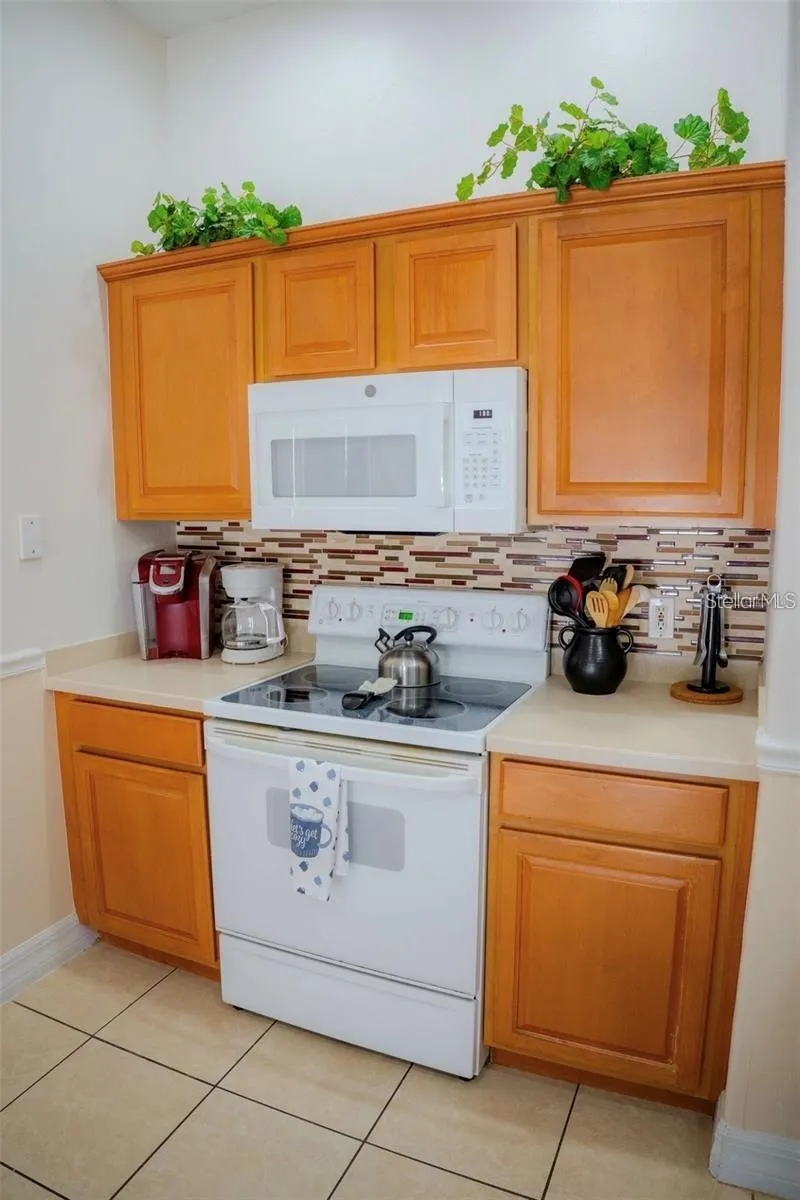 416 VISTA LOOP Davenport, FL 33897