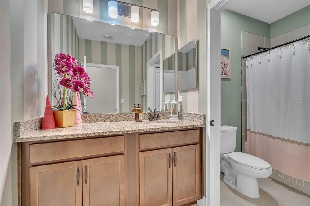 8219 TEA OLIVE TERRACE Palmetto, FL 34221