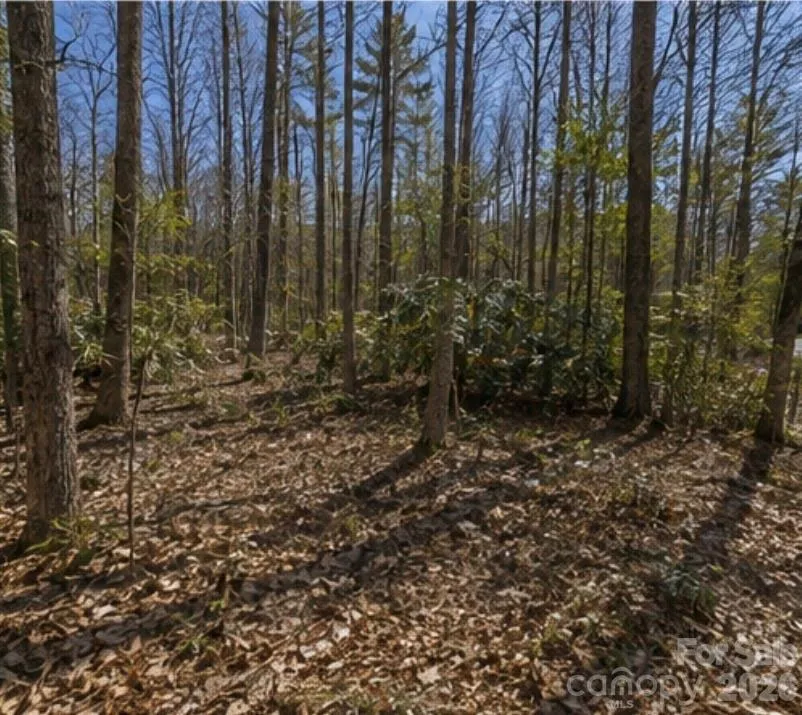 109 W Christy Trail Sapphire, NC 28774