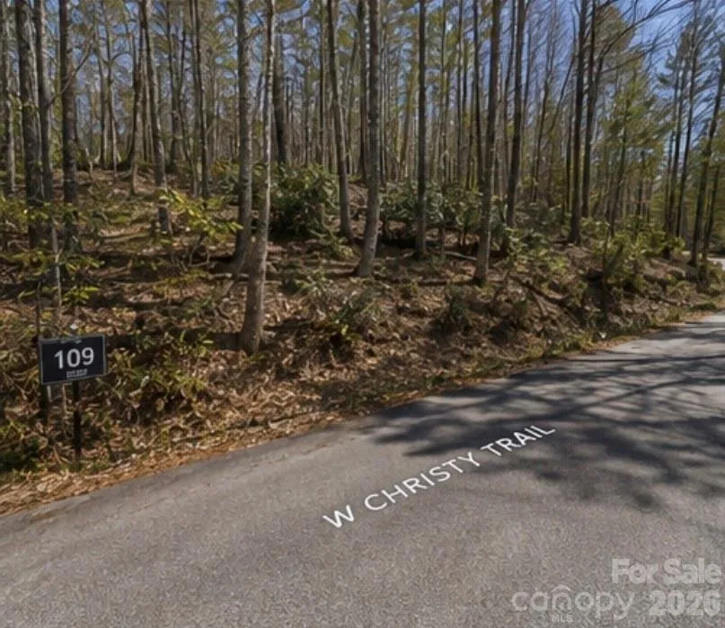 109 W Christy Trail Sapphire, NC 28774