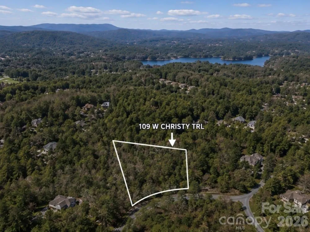 109 W Christy Trail Sapphire, NC 28774