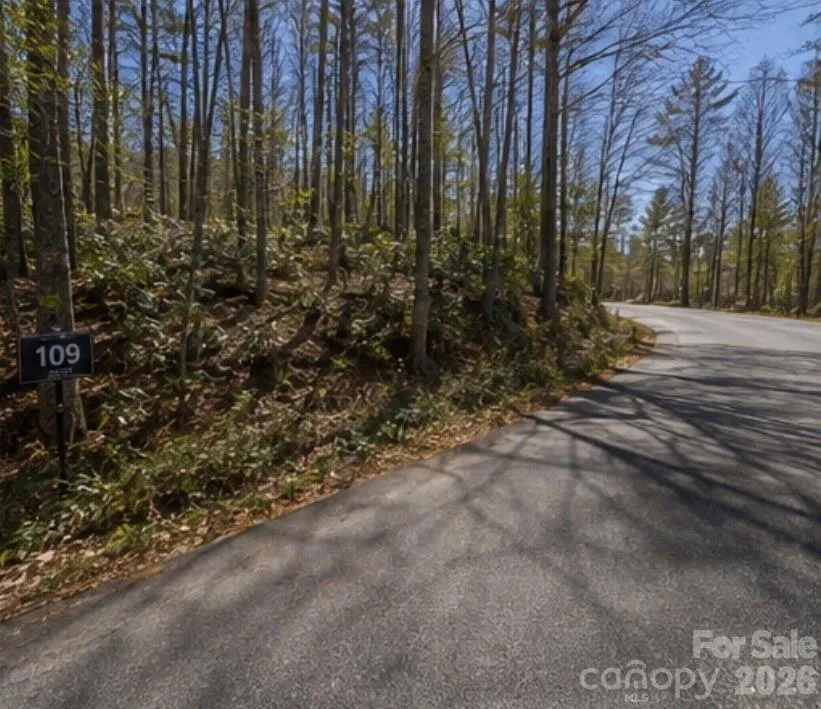109 W Christy Trail Sapphire, NC 28774