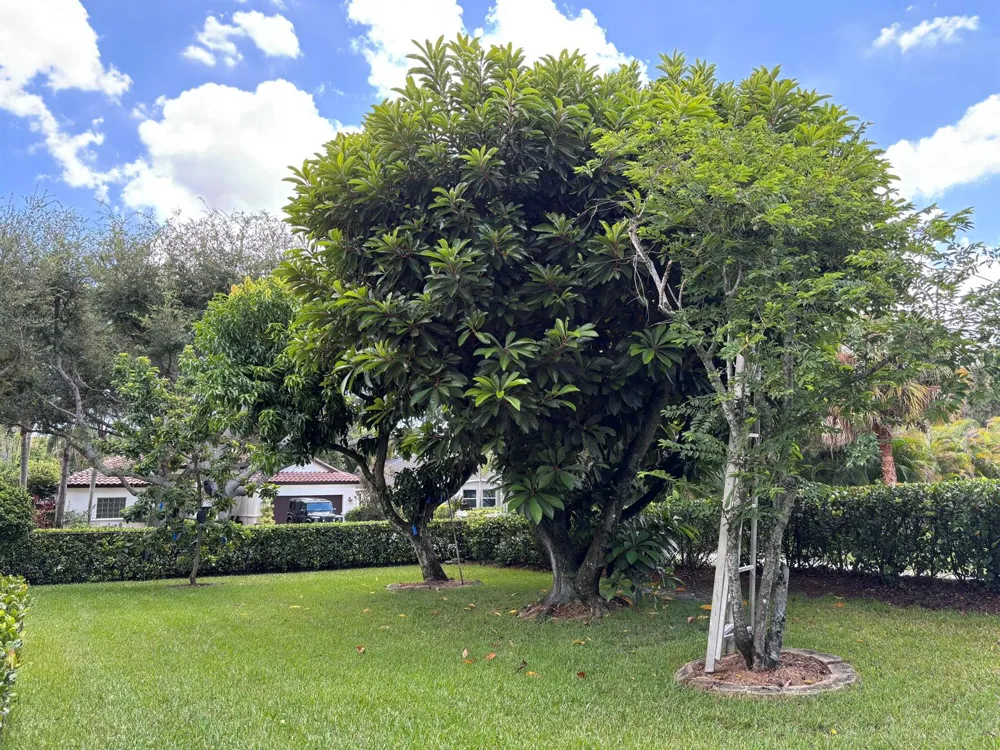 391 Mallard Point Jupiter, FL 33458