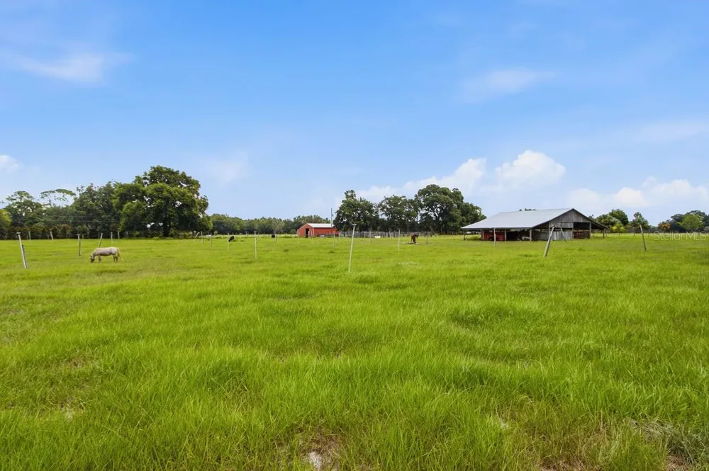 2259 BROWNLEE ROAD Seville, FL 32190