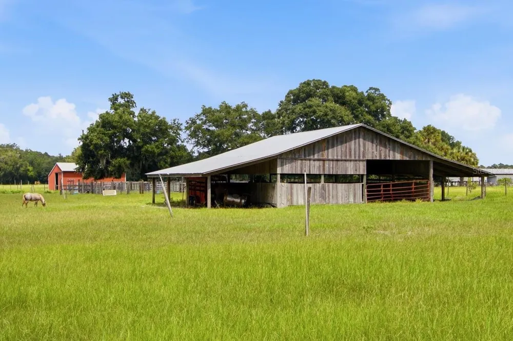 2259 BROWNLEE ROAD Seville, FL 32190