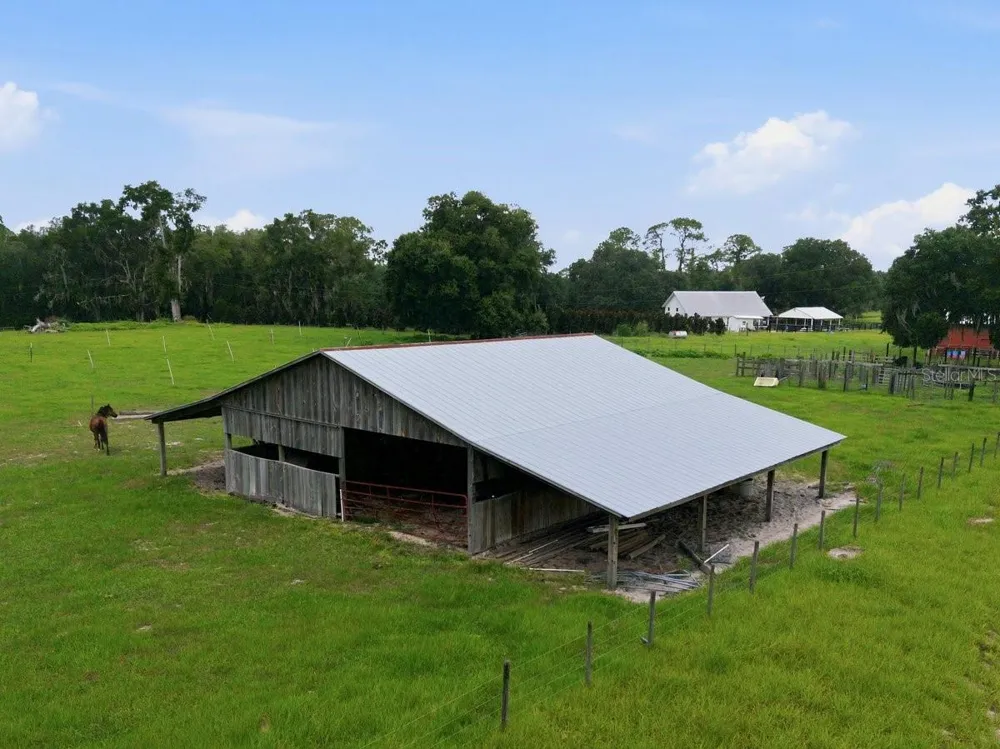 2259 BROWNLEE ROAD Seville, FL 32190