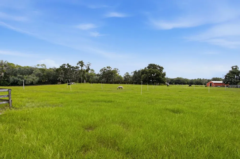 2259 BROWNLEE ROAD Seville, FL 32190