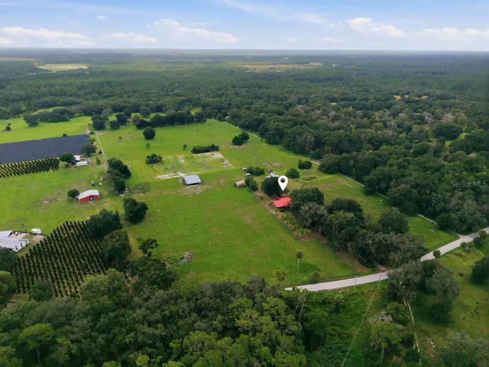 2259 BROWNLEE ROAD Seville, FL 32190