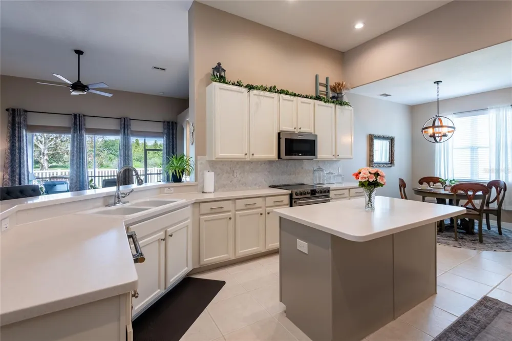 3307 CHESSINGTON DRIVE Land O Lakes, FL 34638