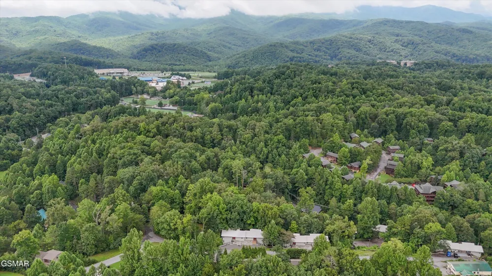 537 Johnson Lane #2 Gatlinburg, TN 37738