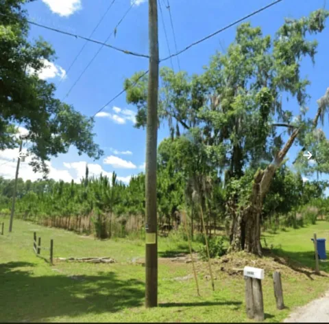 HOLLY LANE