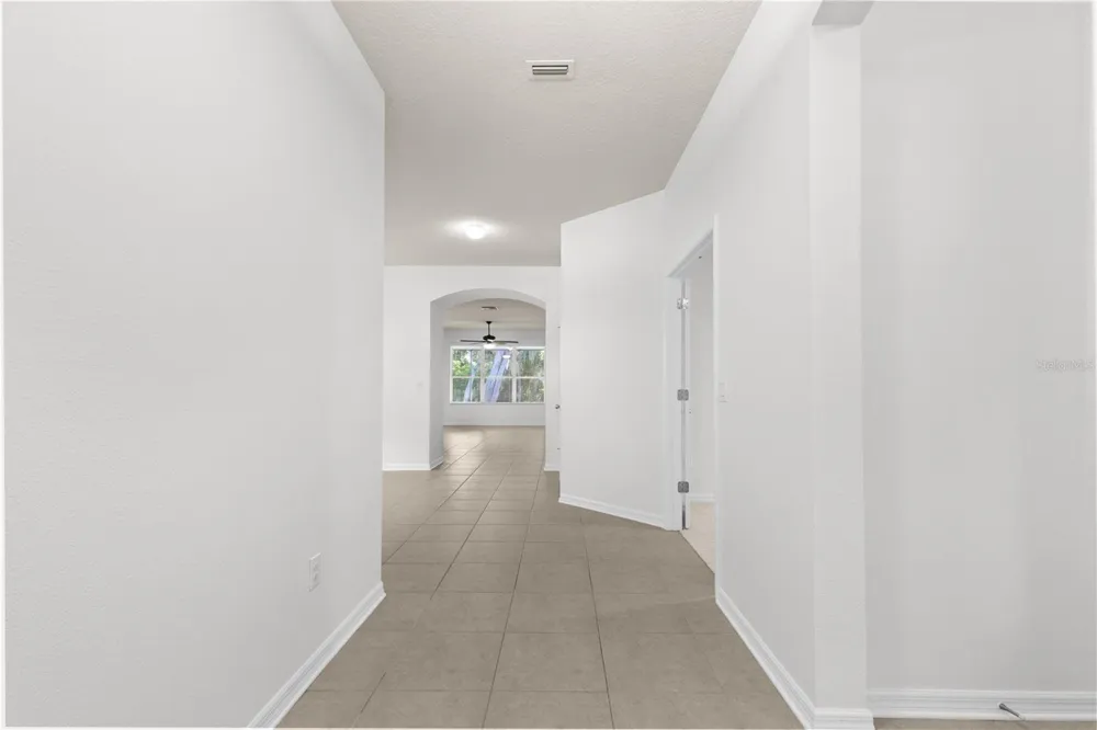 15842 STARLING WATER DRIVE Lithia, FL 33547