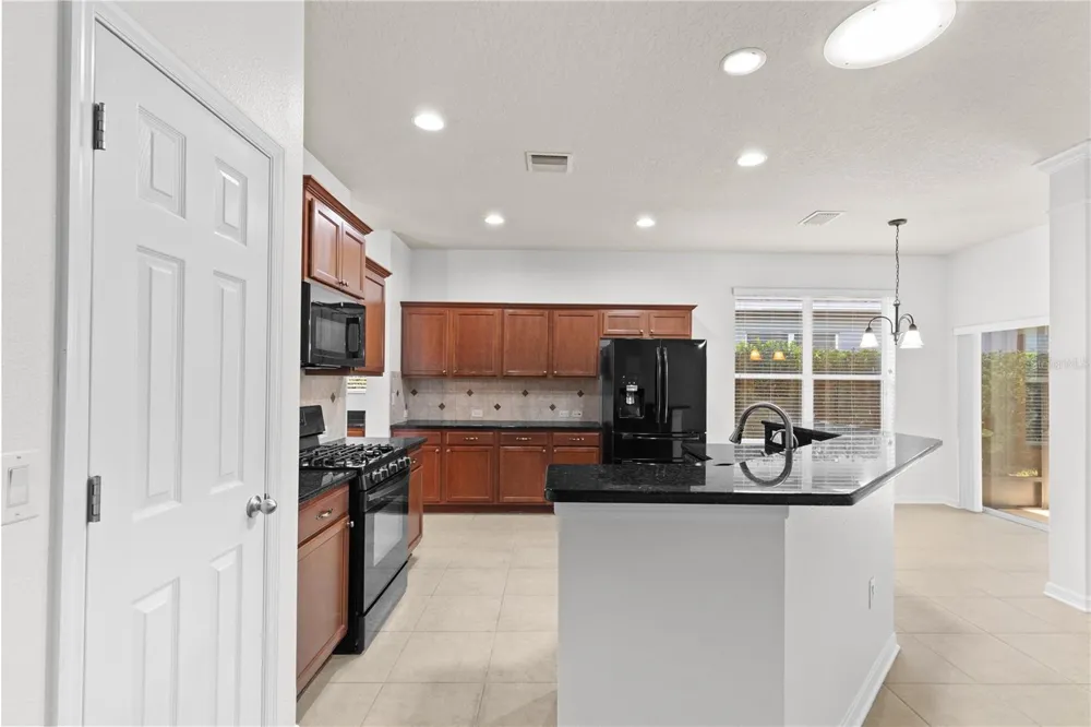 15842 STARLING WATER DRIVE Lithia, FL 33547