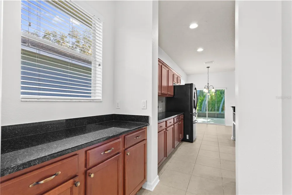 15842 STARLING WATER DRIVE Lithia, FL 33547