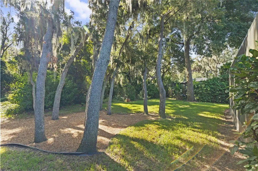 15842 STARLING WATER DRIVE Lithia, FL 33547