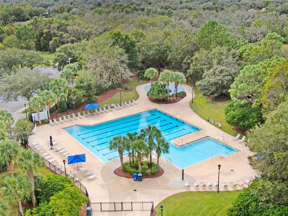 15842 STARLING WATER DRIVE Lithia, FL 33547