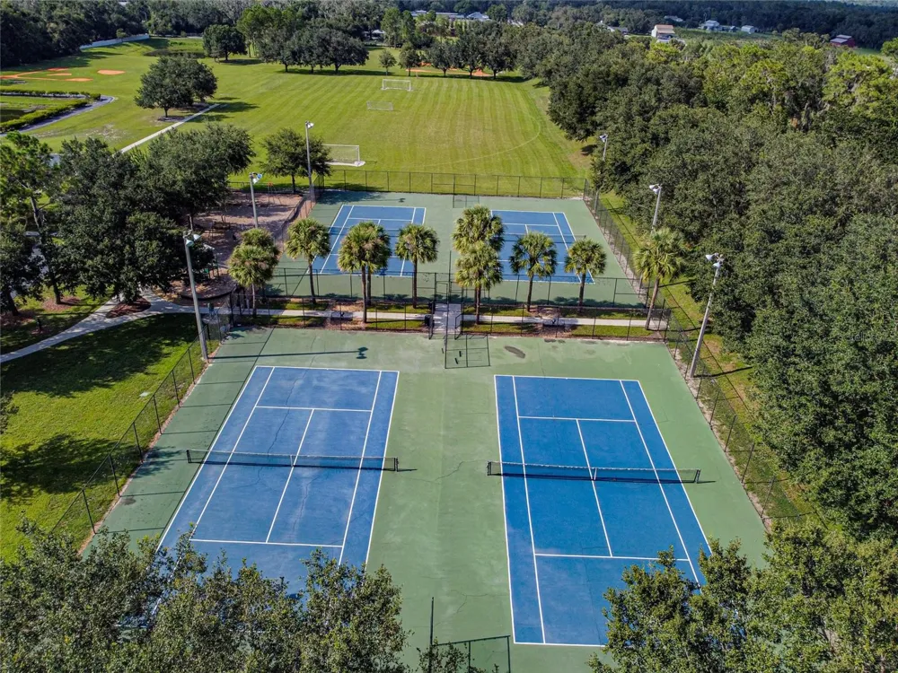 15842 STARLING WATER DRIVE Lithia, FL 33547