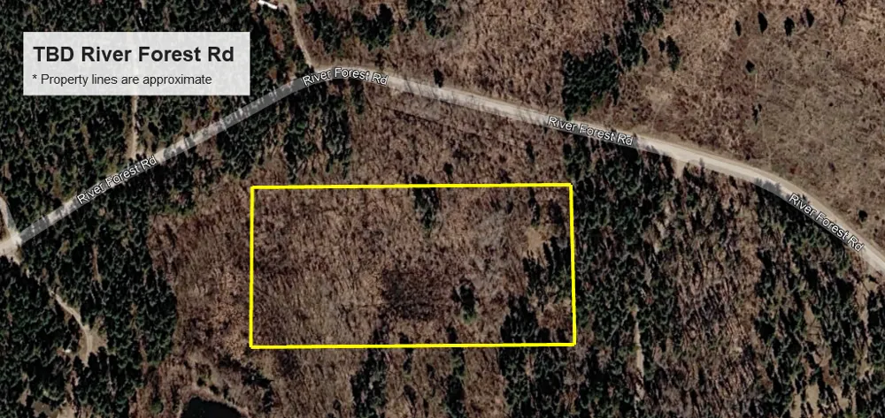 TBD River Forest Road Roseau, MN 56751