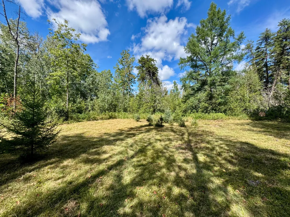 TBD River Forest Road Roseau, MN 56751