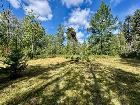 TBD River Forest Road