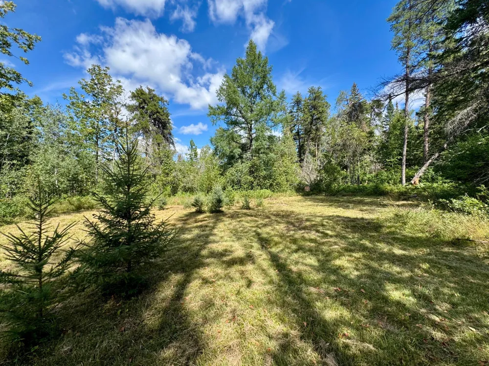 TBD River Forest Road Roseau, MN 56751