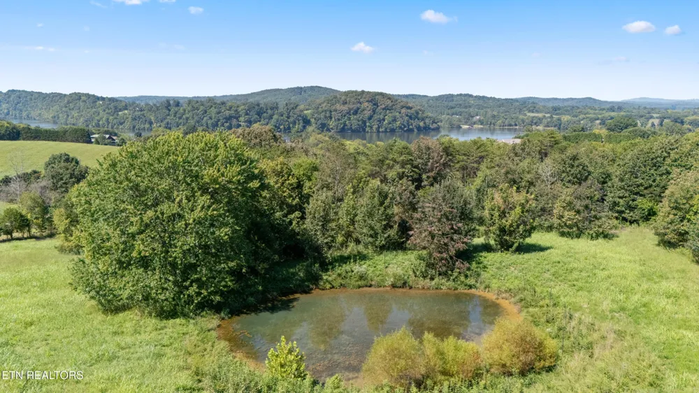 585 Little Dogwood Rd Kingston, TN 37763