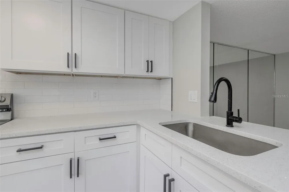 5151 PURITAN CIRCLE #1022 Tampa, FL 33617