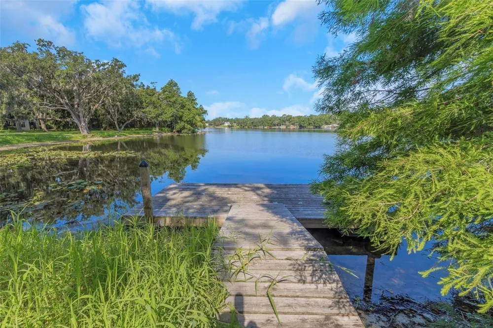 5151 PURITAN CIRCLE #1022 Tampa, FL 33617