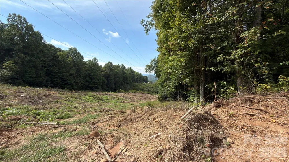 1730 Fox Hollow Road Pisgah Forest, NC 28768