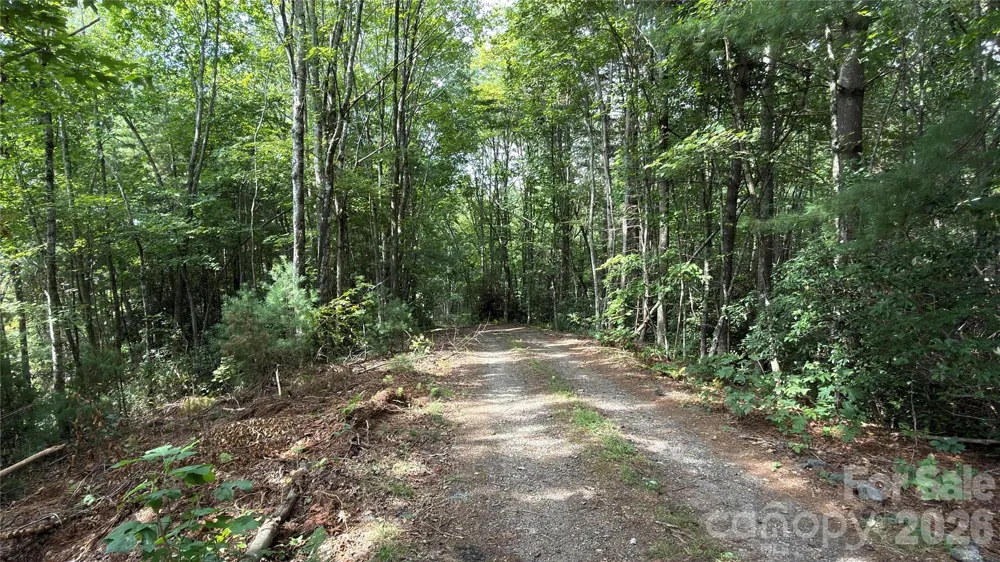 1730 Fox Hollow Road Pisgah Forest, NC 28768