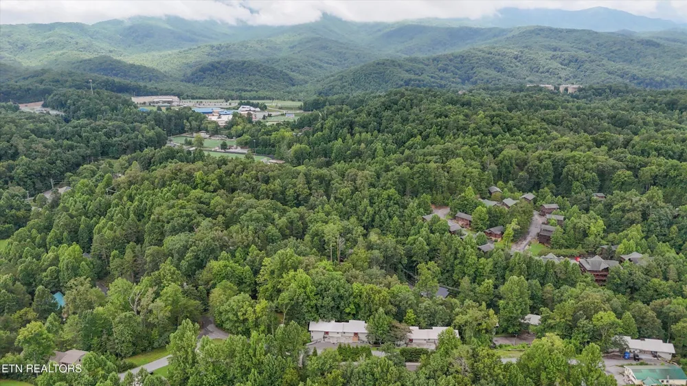 516 Proffitt Rd #2 Gatlinburg, TN 37738