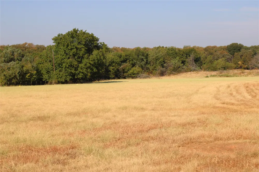 20 County Road 3440 Road Paradise, TX 76073