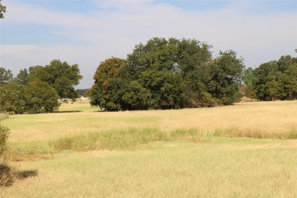 20 County Road 3440 Road Paradise, TX 76073
