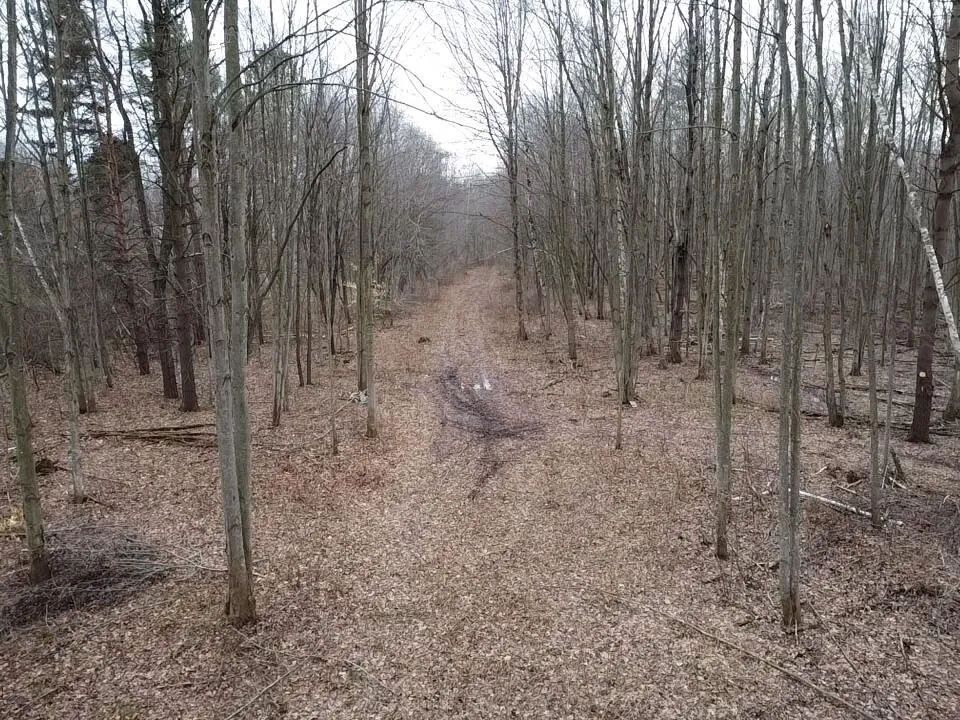 Bryce Rd Clyde, MI 48049
