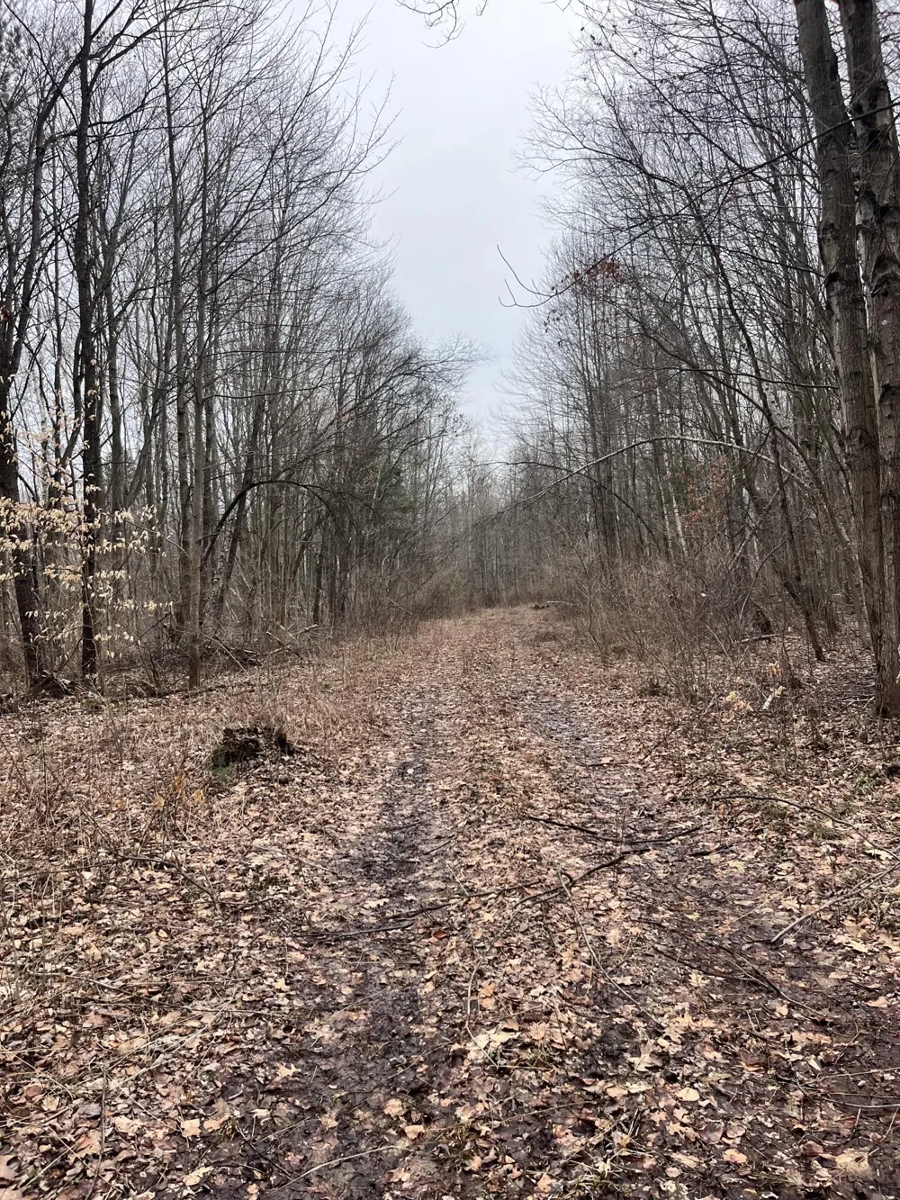 Bryce Rd Clyde, MI 48049